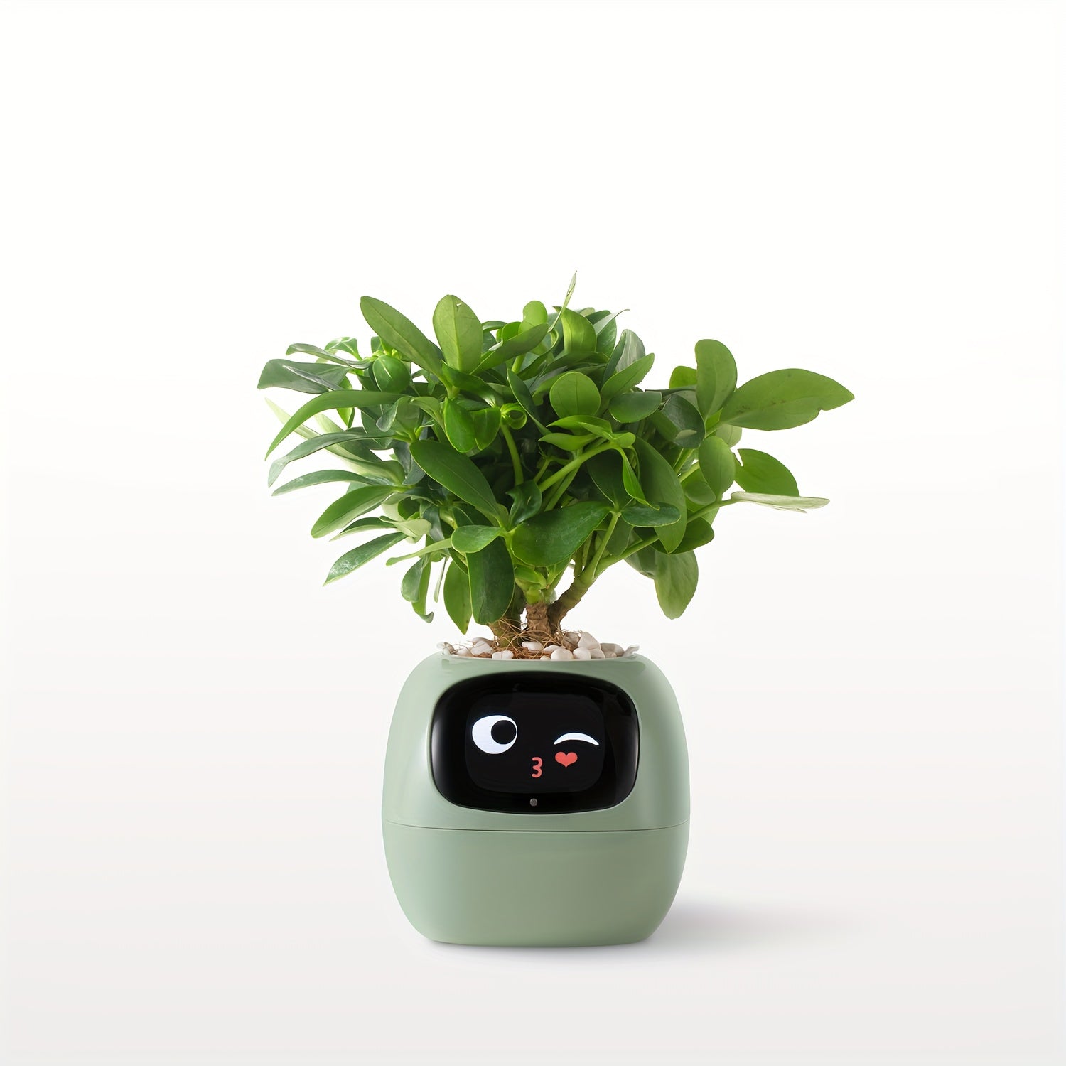 Cubidupi Smart Mini Planter Robot - Self-Watering Electronic Pet Plant Pot with Alerts, \u002FOutdoor Plant Care, Cute Desktop Greenery Companion for Home, Office, Room - Low-Maintenance Gift (Compatible with Smart