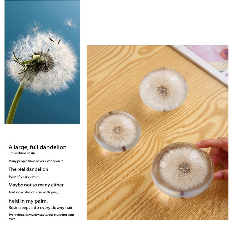 Dandelion Resin Crystal Ball Resin Real Flower Creative Ornaments Transparent Spherical Desktop Decoration Home Living Room Bedroom Furnishings Holiday Gift Romantic Crafts Crystal Ball Dandelion Ornaments Resin Real Flower Specimen Valentine'S Day
