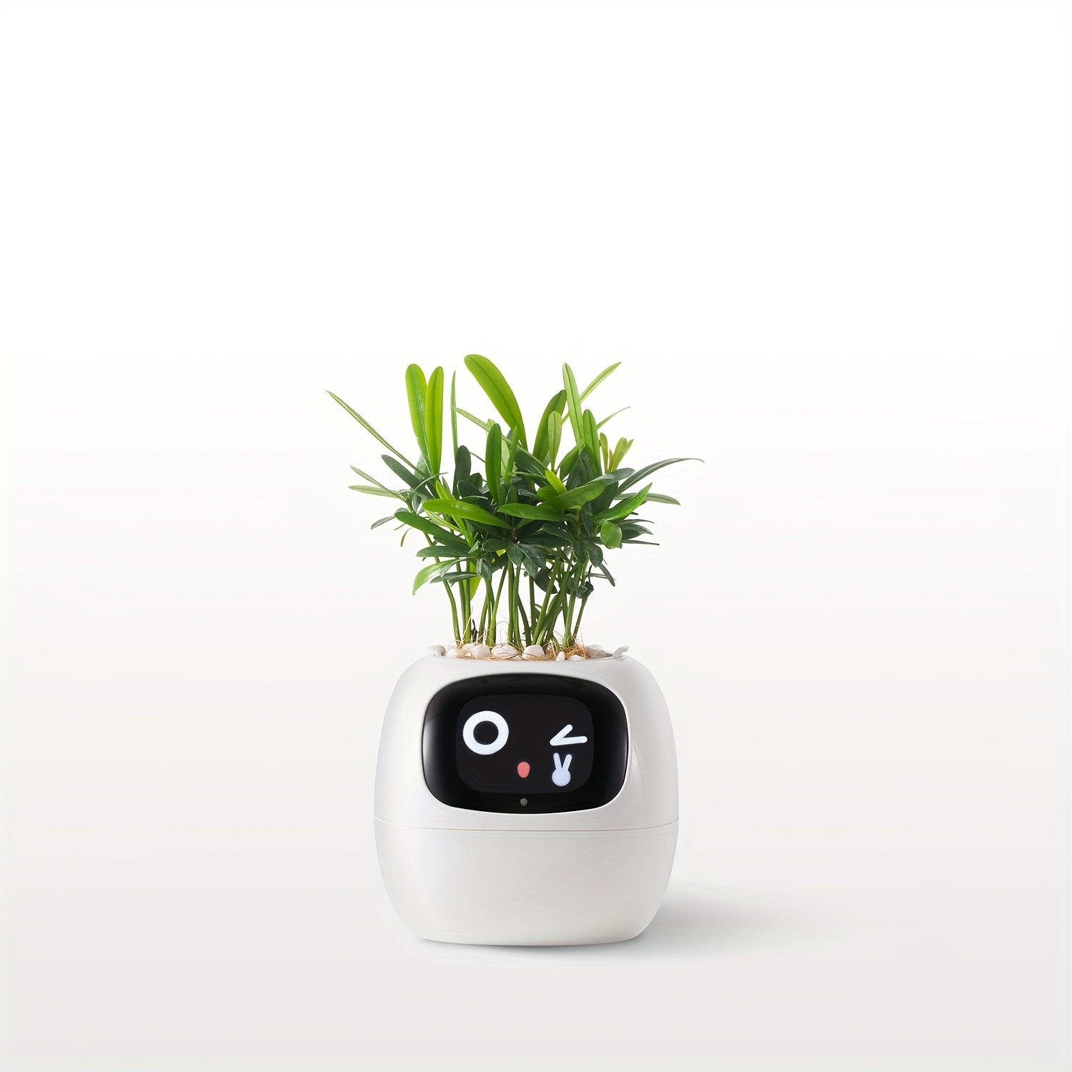 Cubidupi Smart Mini Planter Robot - Self-Watering Electronic Pet Plant Pot with Alerts, \u002FOutdoor Plant Care, Cute Desktop Greenery Companion for Home, Office, Room - Low-Maintenance Gift (Compatible with Smart